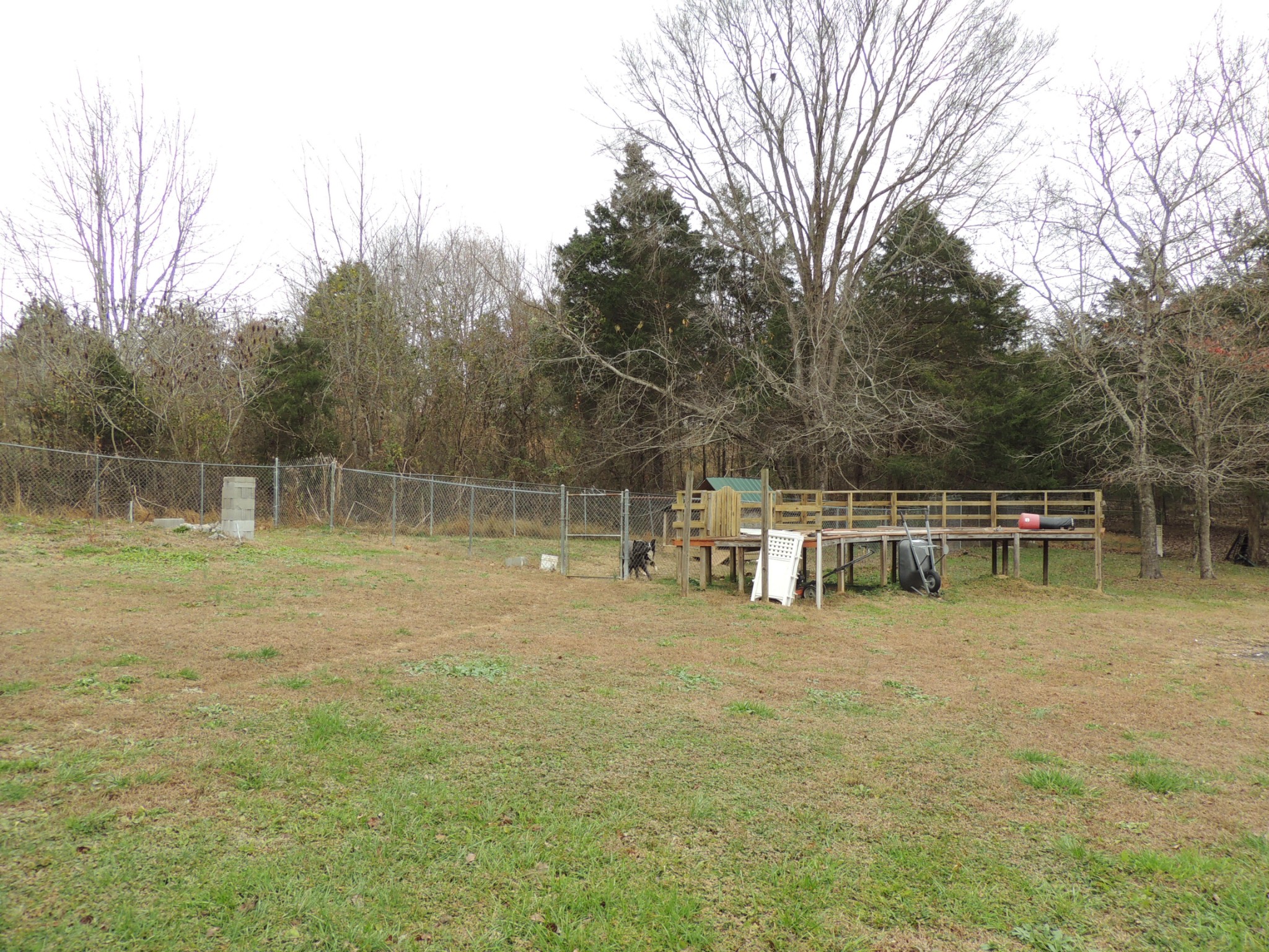 10911 Beechcraft Road Bon Aqua, TN 37025 - Photo 22 of 23 Gallery Image 22