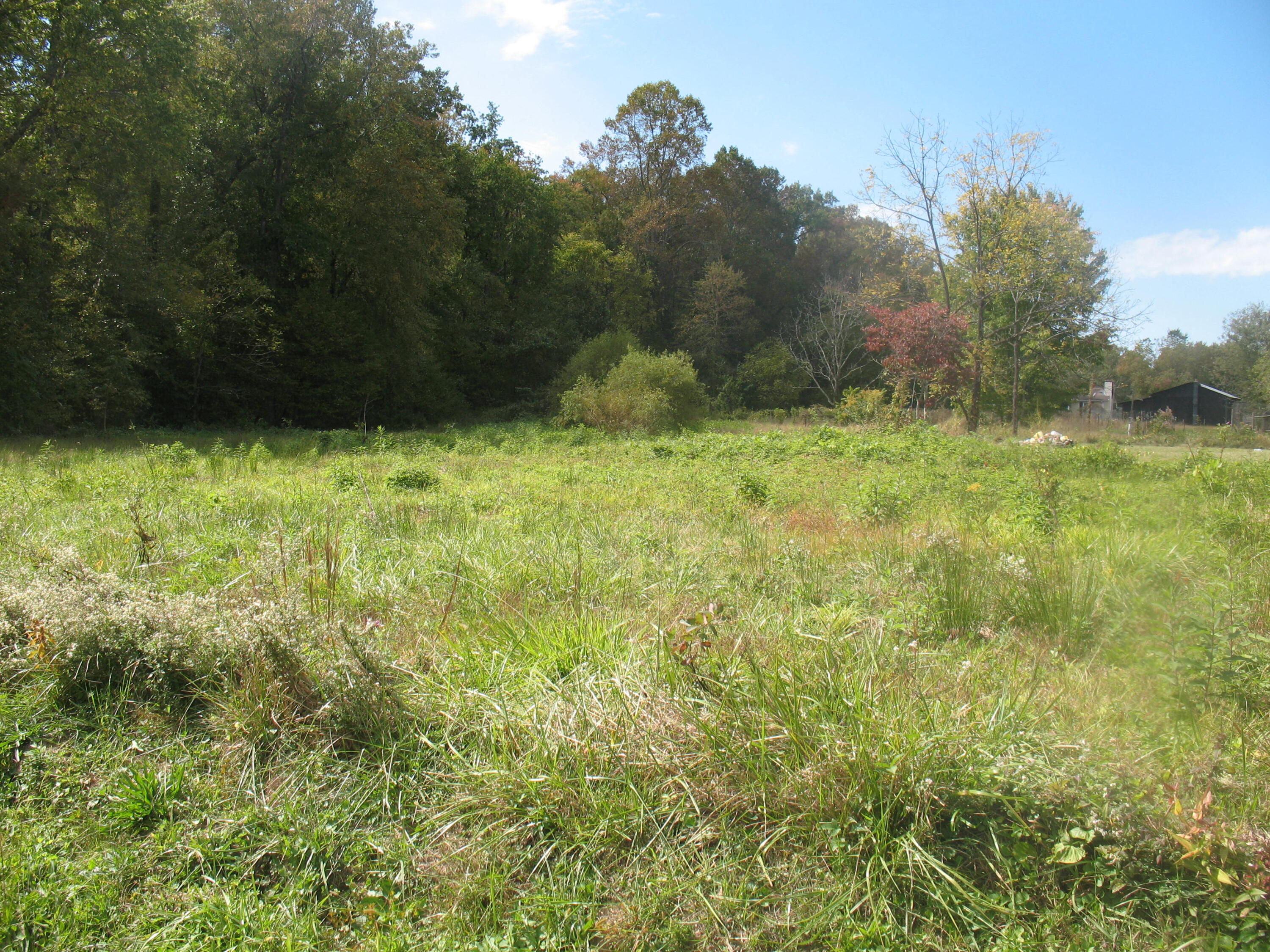0 Southard Road London, KY 40741 - Photo 1 of 5 IMG_4423