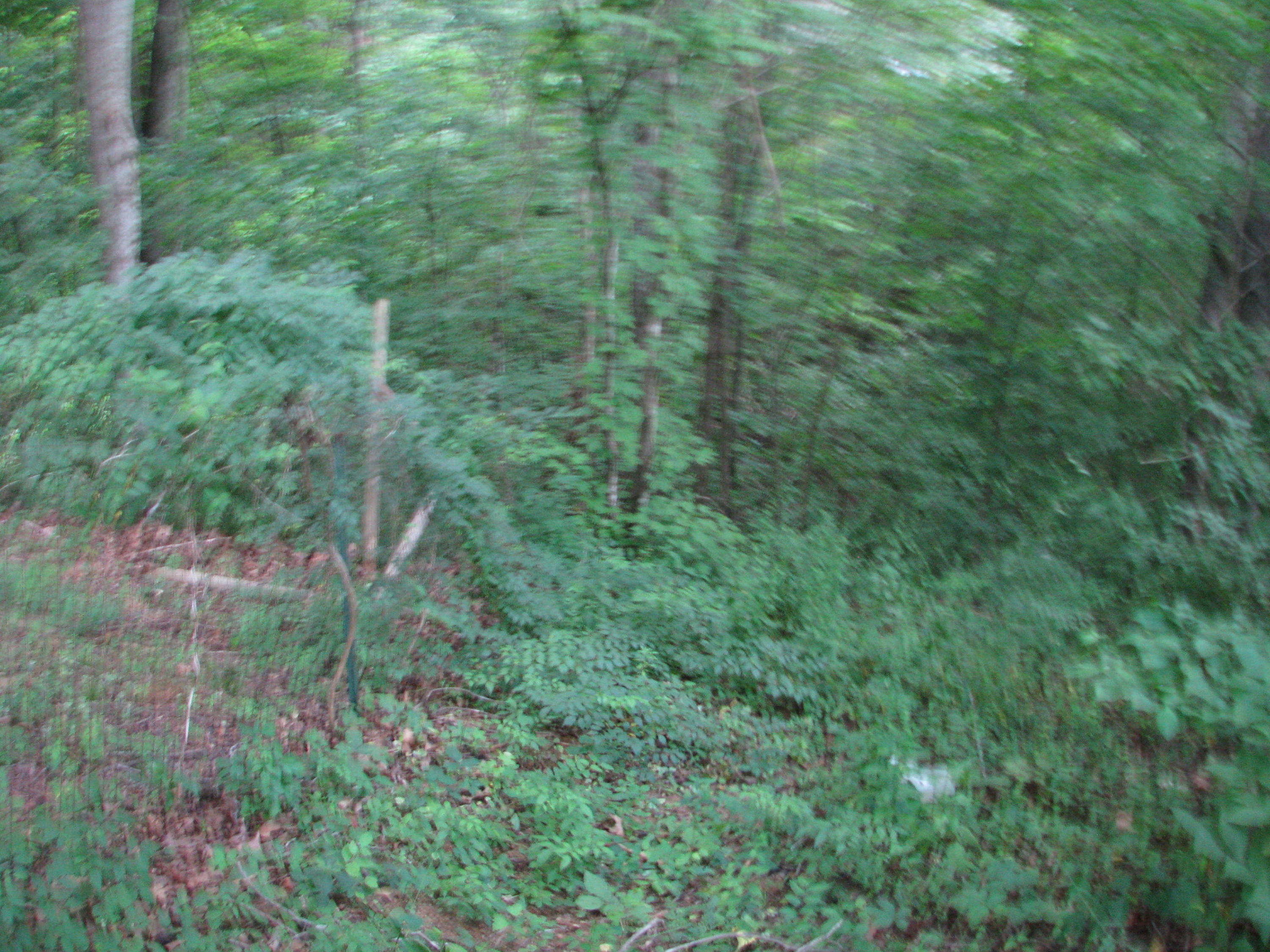 615 Fawn Ridge Way Seymour, TN 37865 - Photo 27 of 30 IMG_9163