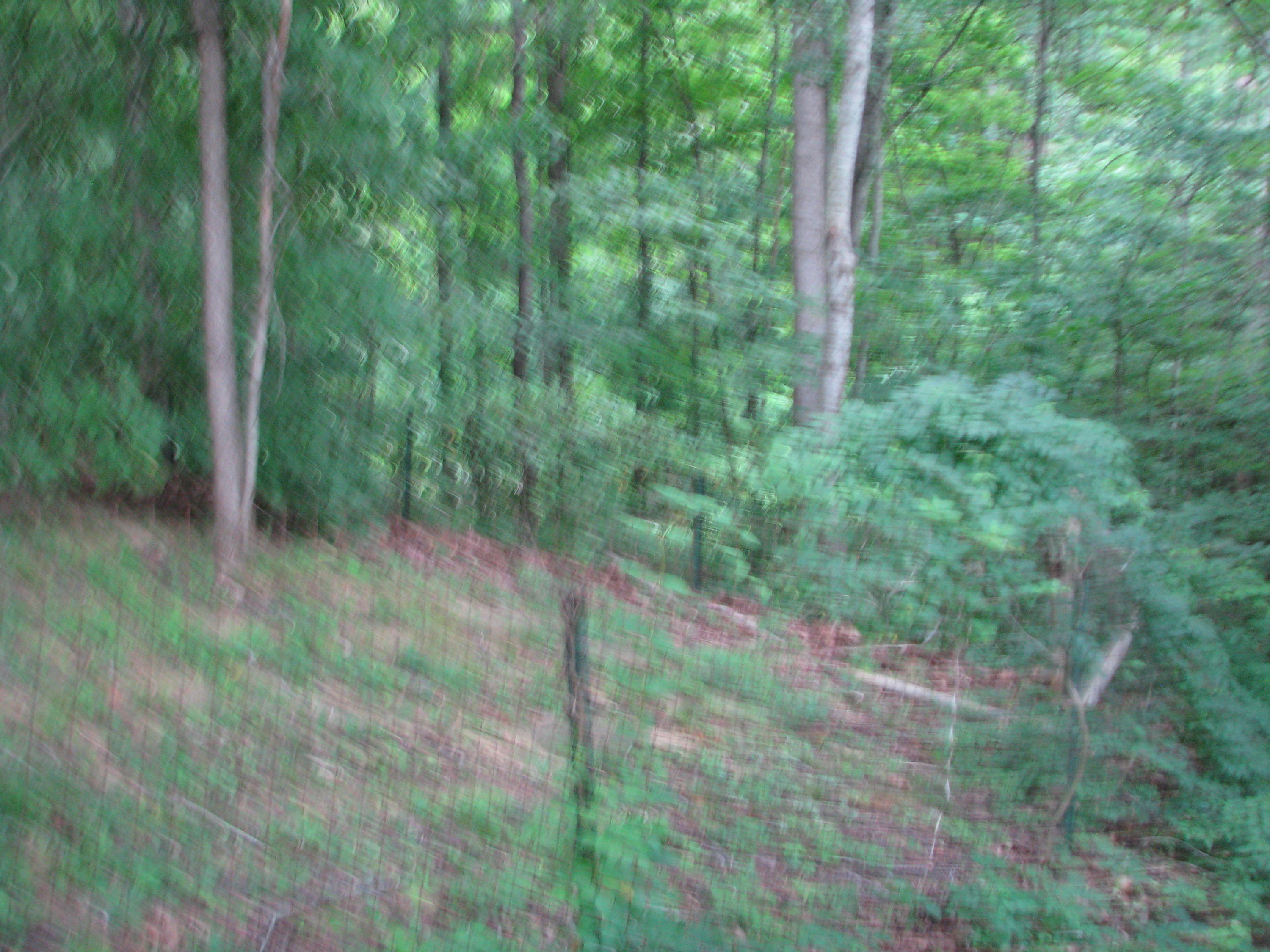 615 Fawn Ridge Way Seymour, TN 37865 - Photo 28 of 30 IMG_9162