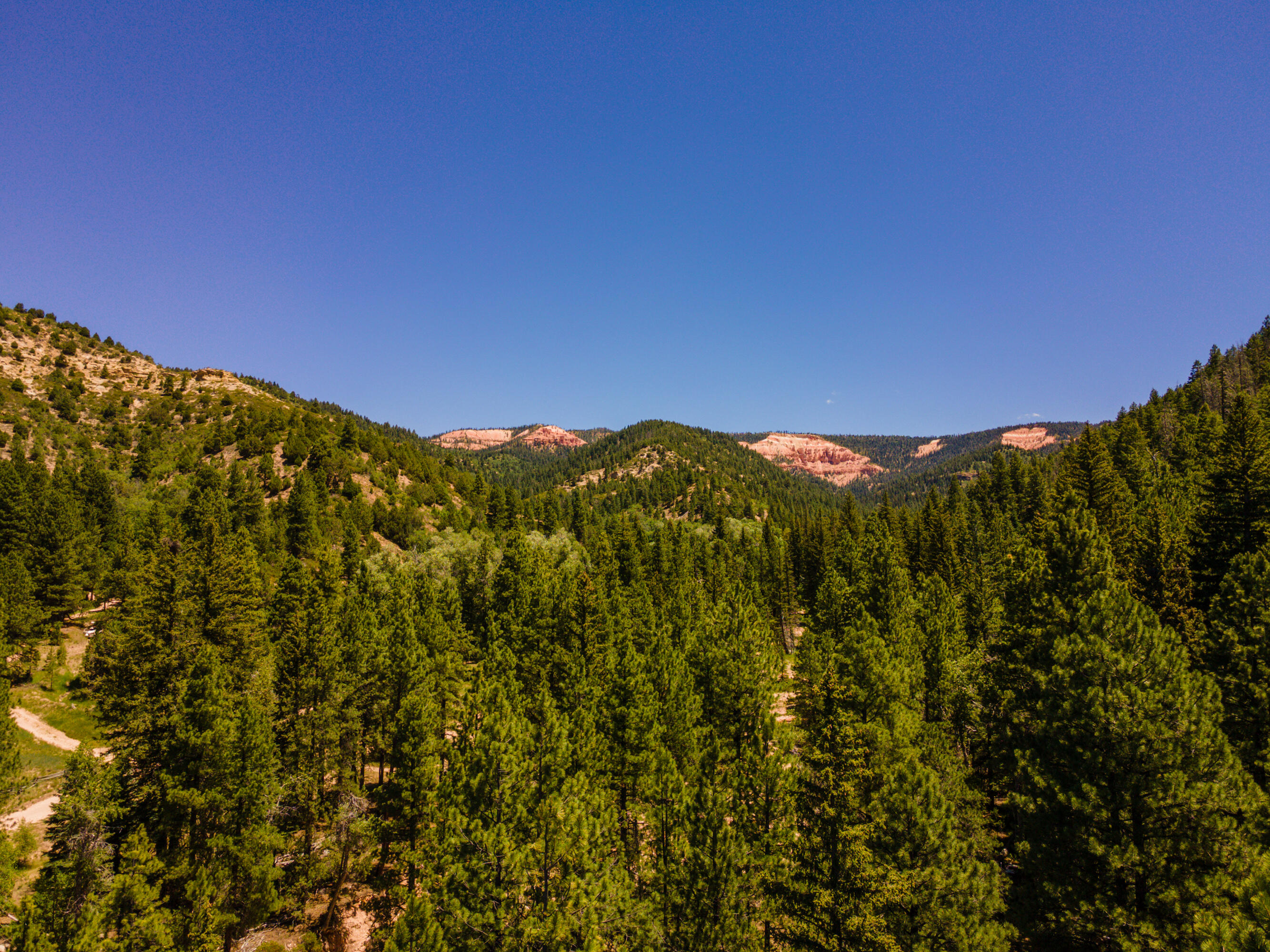 62 North Fork County Road Duck Creek Village, UT 84762 - Photo 53 of 54 Stanger Cabin Drones-3