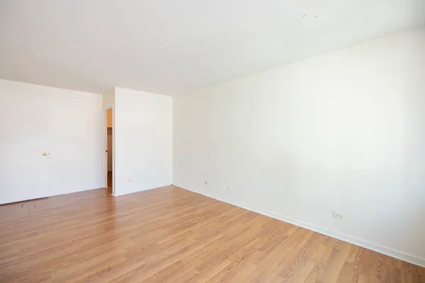 $3,100 | 211 East Ohio Street, Unit 2821, Chicago, IL 60611