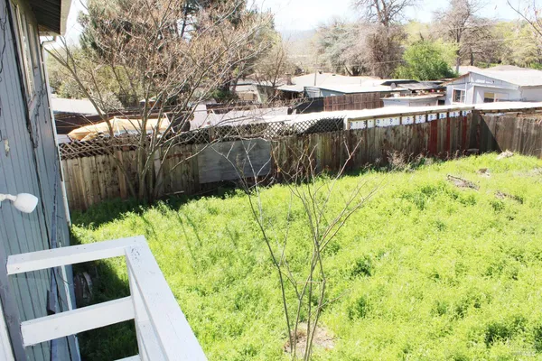 a view of backyard with tree