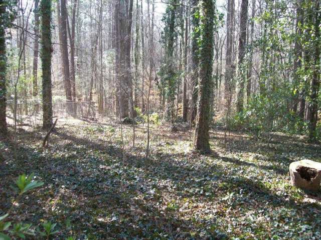 1100 Imperial Road Cary, NC 27511 - Photo 5 of 8 View of the backyard from the deck.