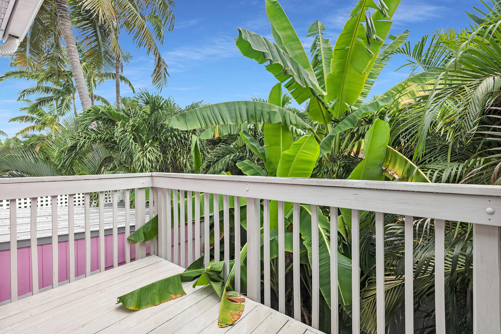 1301 Atlantic Drive Key West, FL 33040 - Photo 18 of 37 a view of a balcony with a plant