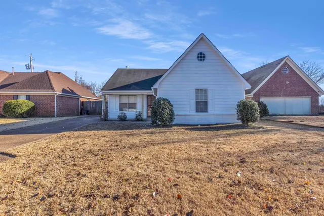 a view of a backyard