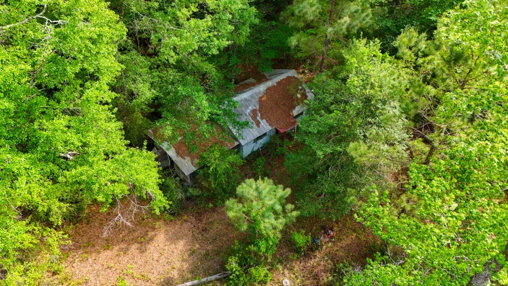 0 County Road 4630 Road North Spurger, TX 77660 - Photo 21 of 50 Gallery Image 21