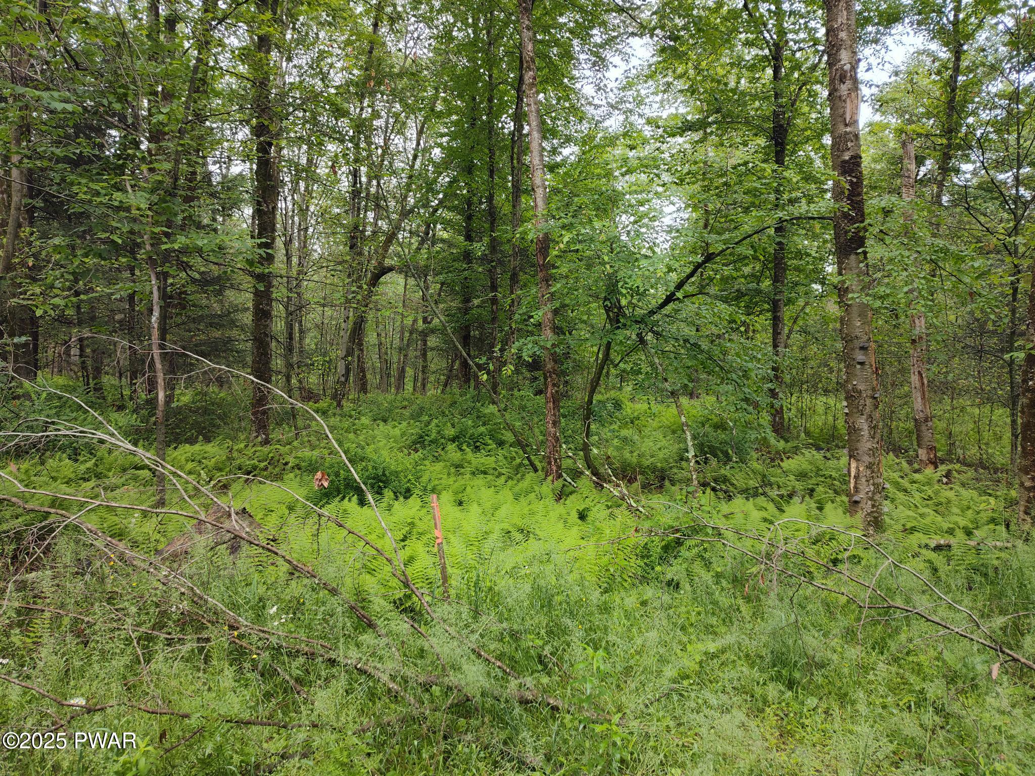 Lot 109 Aka) Gibralter Road Newfoundland, PA 18445 - Photo 16 of 19
