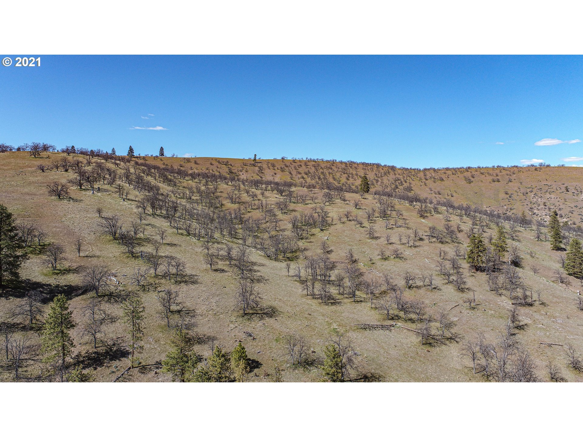 3480 Japanese Hollow Road The Dalles, OR 97058 - Photo 9 of 32 Gallery Image 9