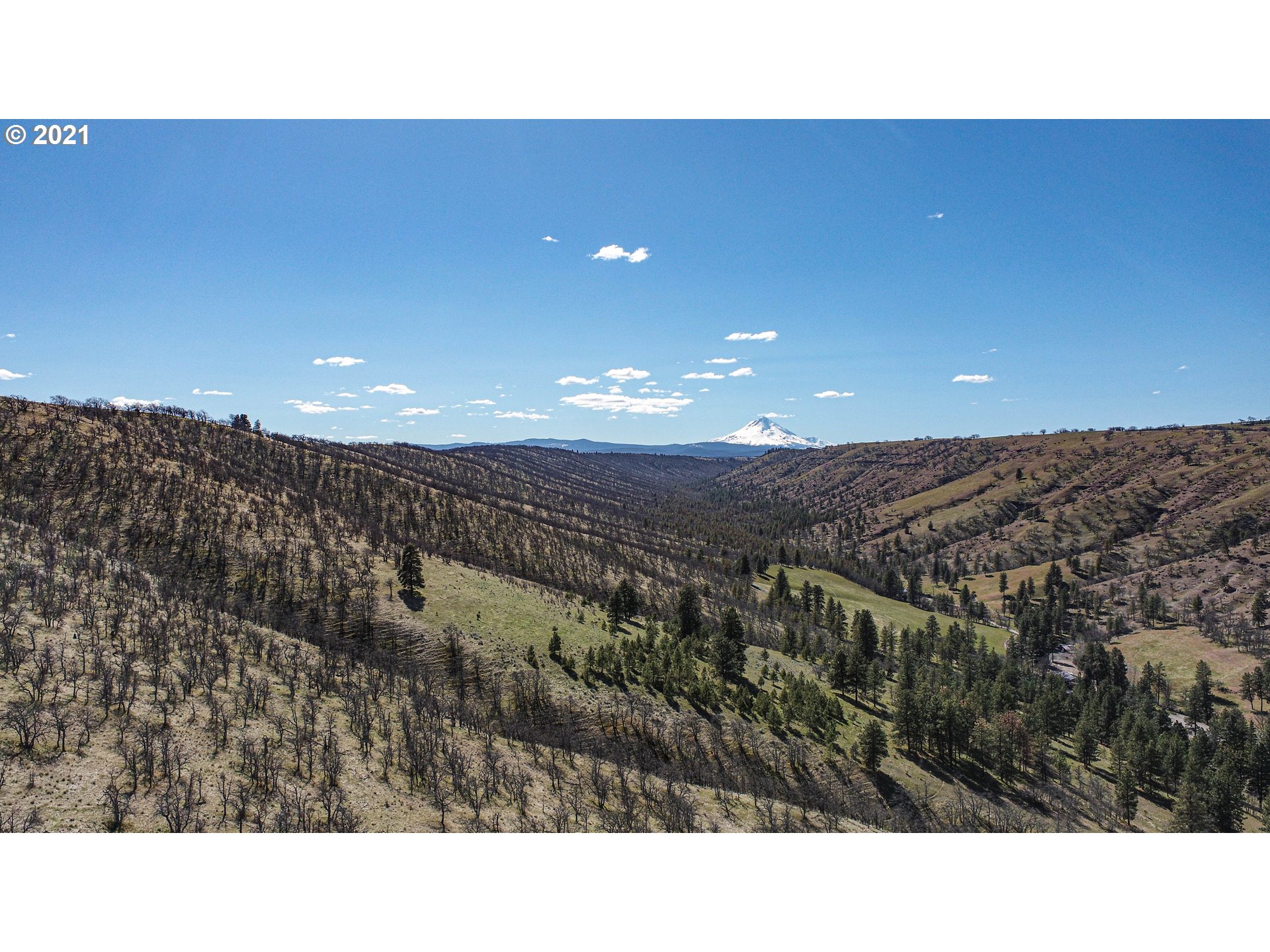3480 Japanese Hollow Road The Dalles, OR 97058 - Photo 10 of 32 Gallery Image 10