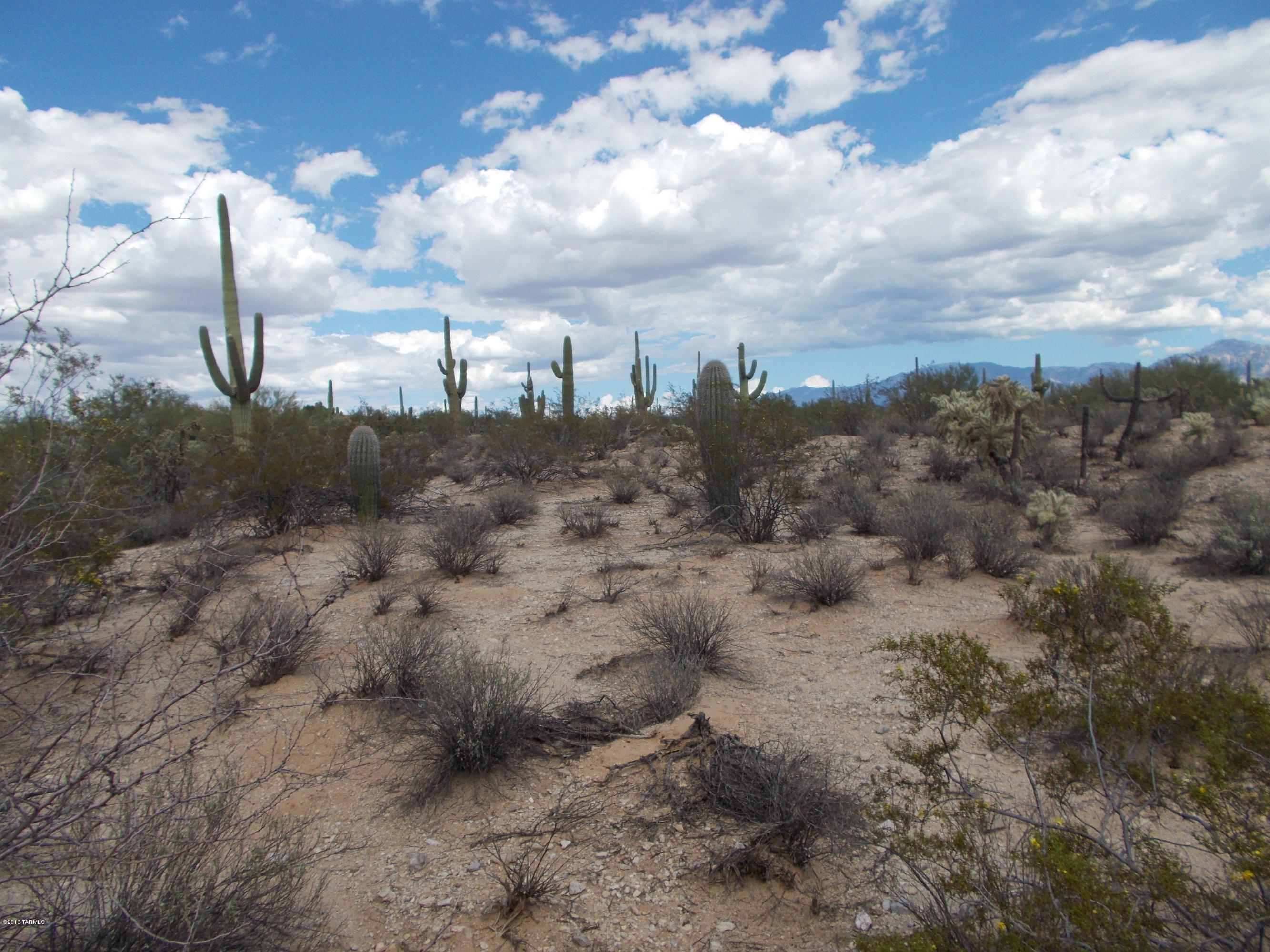 Tbd North Sandra Road Tucson, AZ 85742 - Photo 2 of 3 Gallery Image 2