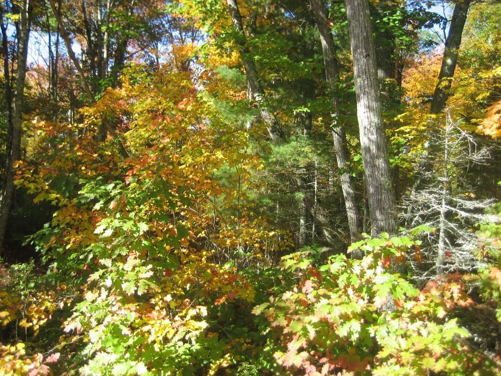 0 Billings Road Warren, ME 04864 - Photo 3 of 9 Land / Lot