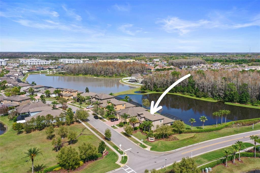 1670 Cameron Court New Port Richey, FL 34655 - Photo 3 of 45
