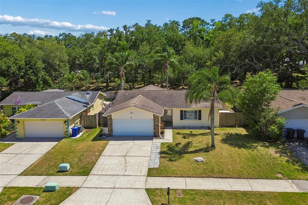 1733 Sutton Place Dunedin, FL 34698 - Photo 37 of 38