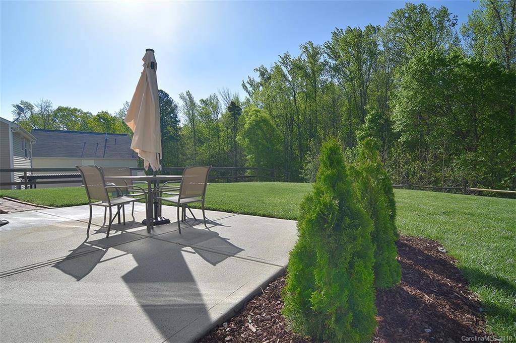 12923 Rothe House Road Charlotte, NC 28273 - Photo 22 of 22 Gallery Image 22