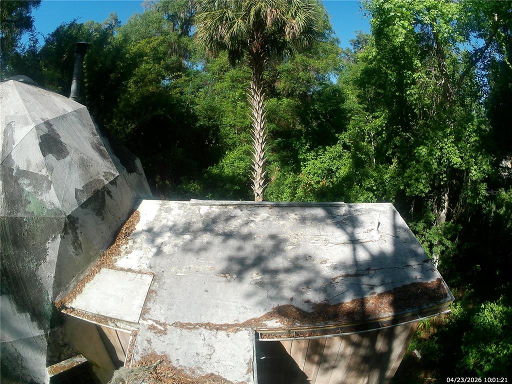 2424 Northeast 170th Street Citra, FL 32113 - Photo 21 of 53 a view of yard