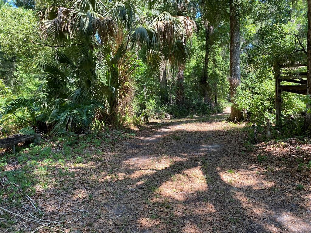 2424 Northeast 170th Street Citra, FL 32113 - Photo 45 of 53 a view of outdoor space with trees