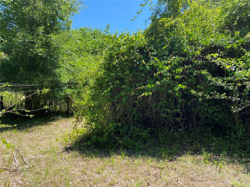 2424 Northeast 170th Street Citra, FL 32113 - Photo 48 of 53 a view of a backyard