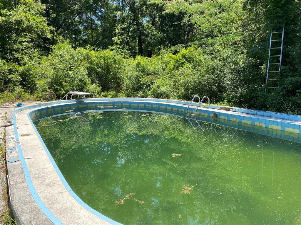 2424 Northeast 170th Street Citra, FL 32113 - Photo 50 of 53 a view of a swimming pool with a garden