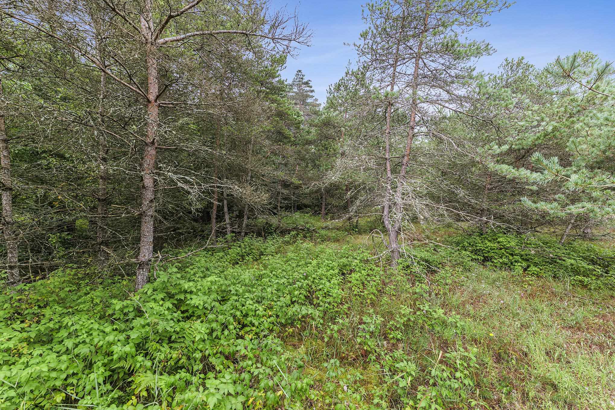 17 17 Mile Road Kingsley, MI 49649 - Photo 13 of 21 Gallery Image 13
