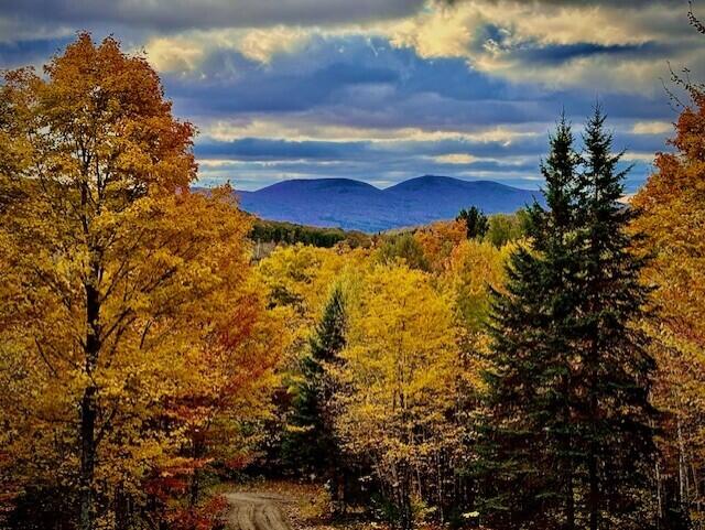 45 Ramsdell Road Kingfield, ME 04947 - Photo 2 of 50 Fall View