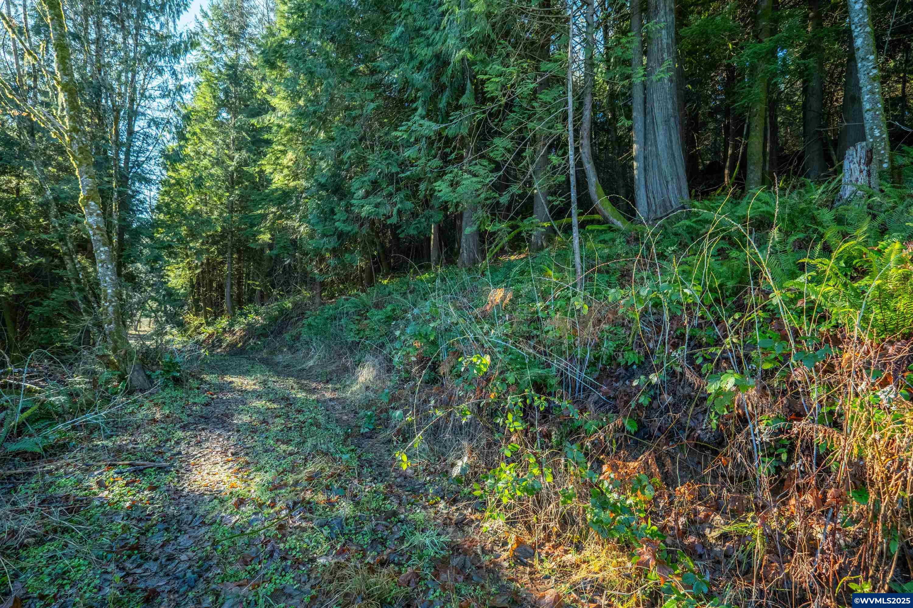 0 Northwest Sellers Road North Plains, OR 97133 - Photo 33 of 36