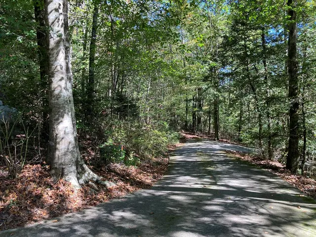 $699,000 | 9 Blackbear Mountain Trail, Suches, GA 30572