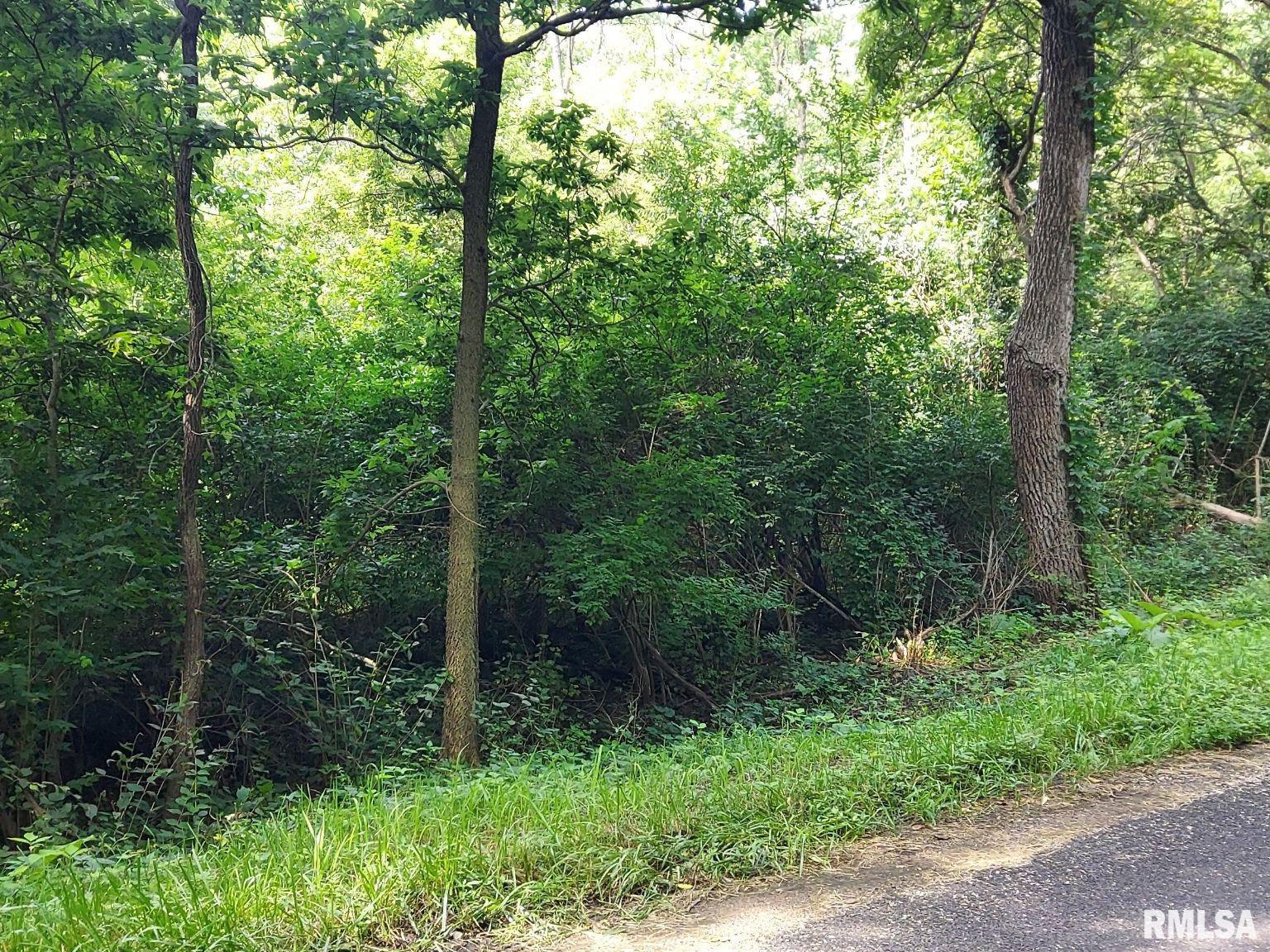0 West Bristol Hollow Road Dunlap, IL 61525 - Photo 3 of 3 Gallery Image 3