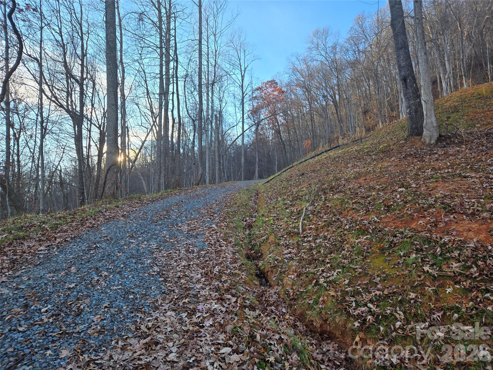 0 Brasstown Road Cullowhee, NC 28723 - Photo 11 of 37 Gallery Image 11