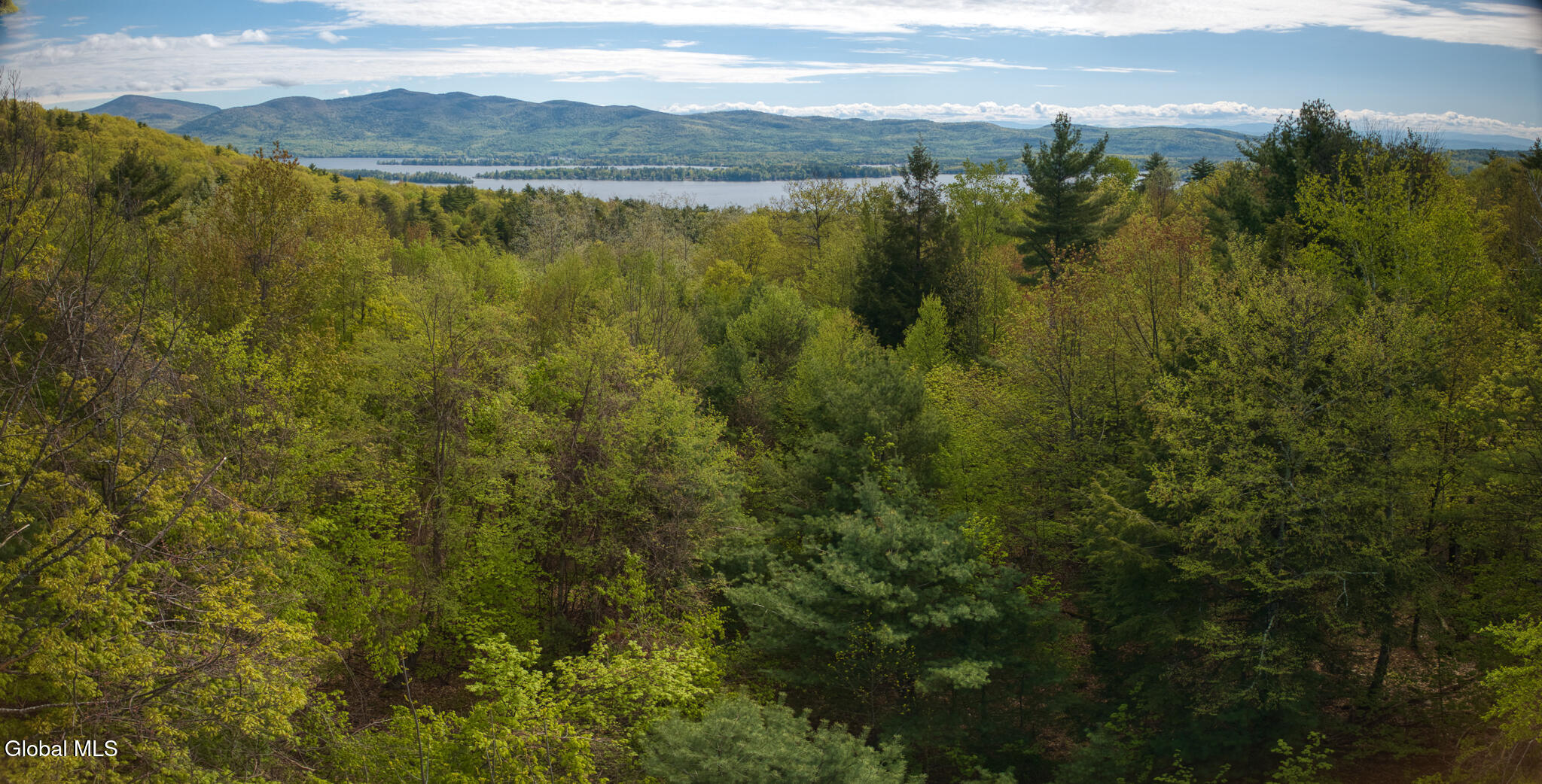 L63.011 Shaw Road, Unit A2 Lake George, NY 12845 - Photo 11 of 17 DJI_20240513103143_0078_D-Pano
