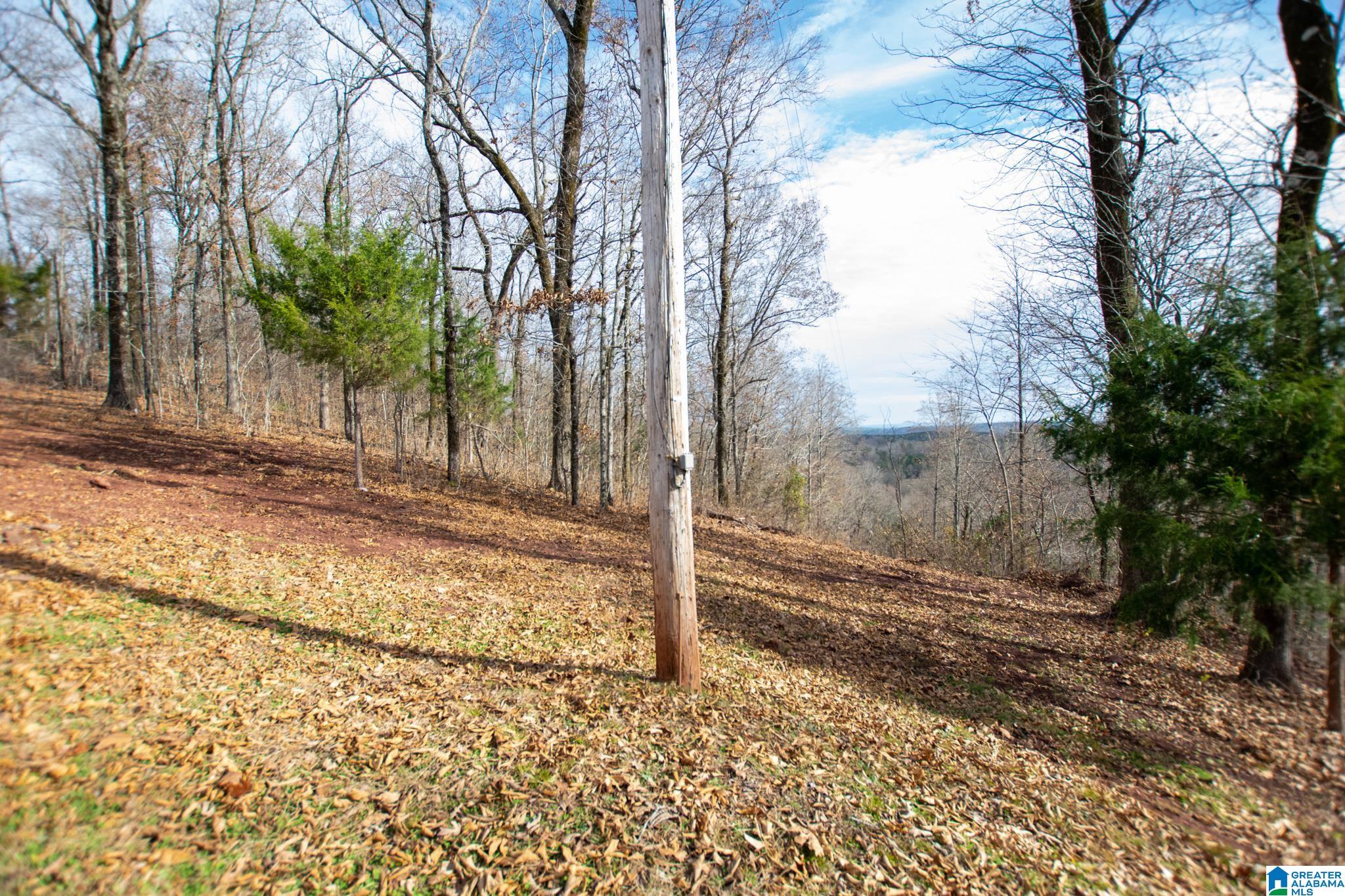 543 Young Road Remlap, AL 35133 - Photo 33 of 46