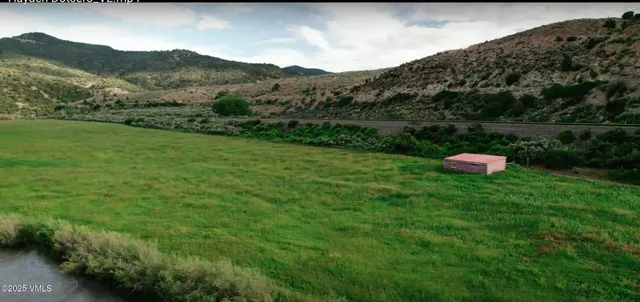 a view of backyard with potted plants and large tree