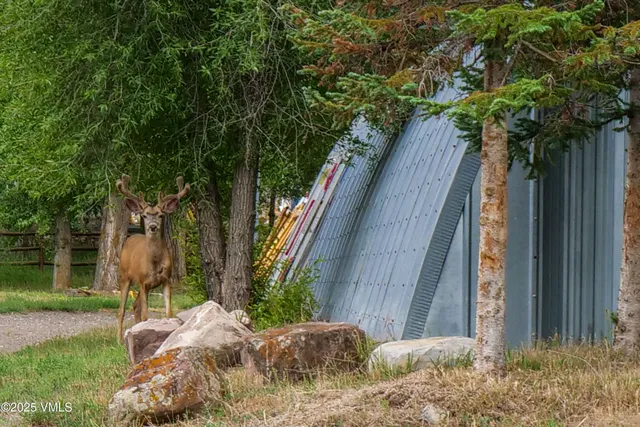 a view of outdoor space with trees