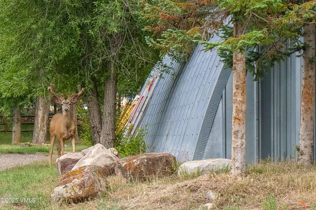 a view of outdoor space with trampoline
