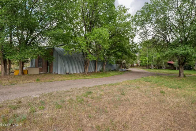 a backyard of a house with plants and large tree
