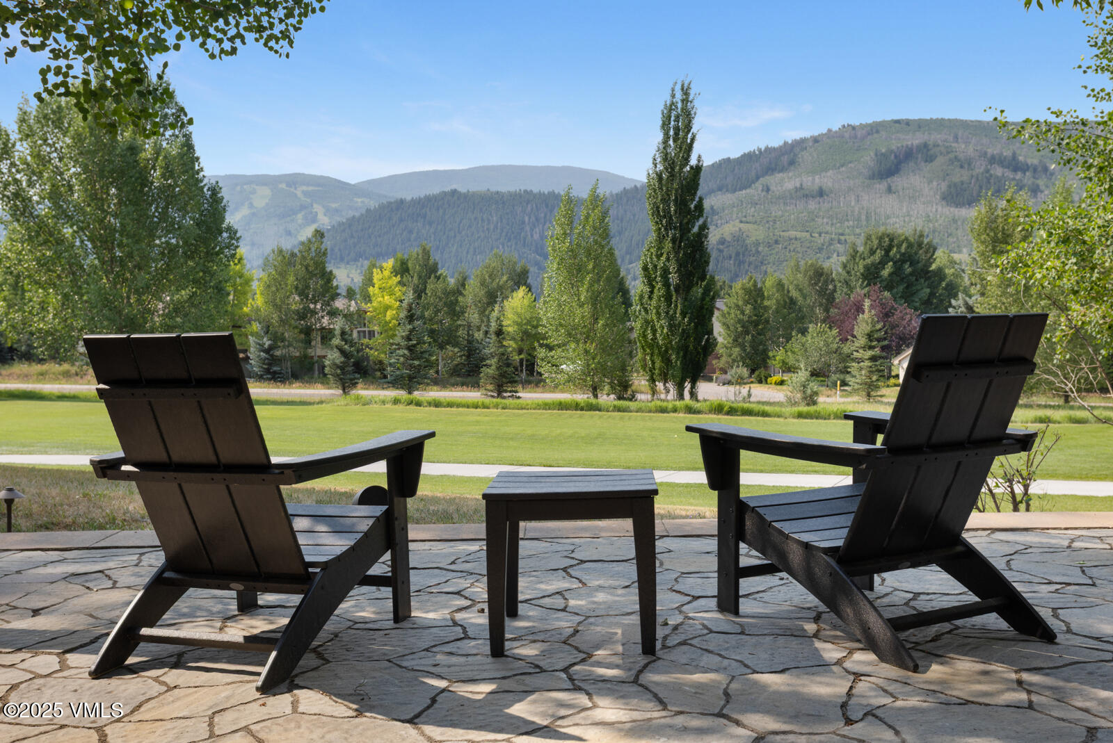 161 Stagecoach Road Edwards, CO 81632 - Photo 26 of 48 a view of a chairs and table in the yard