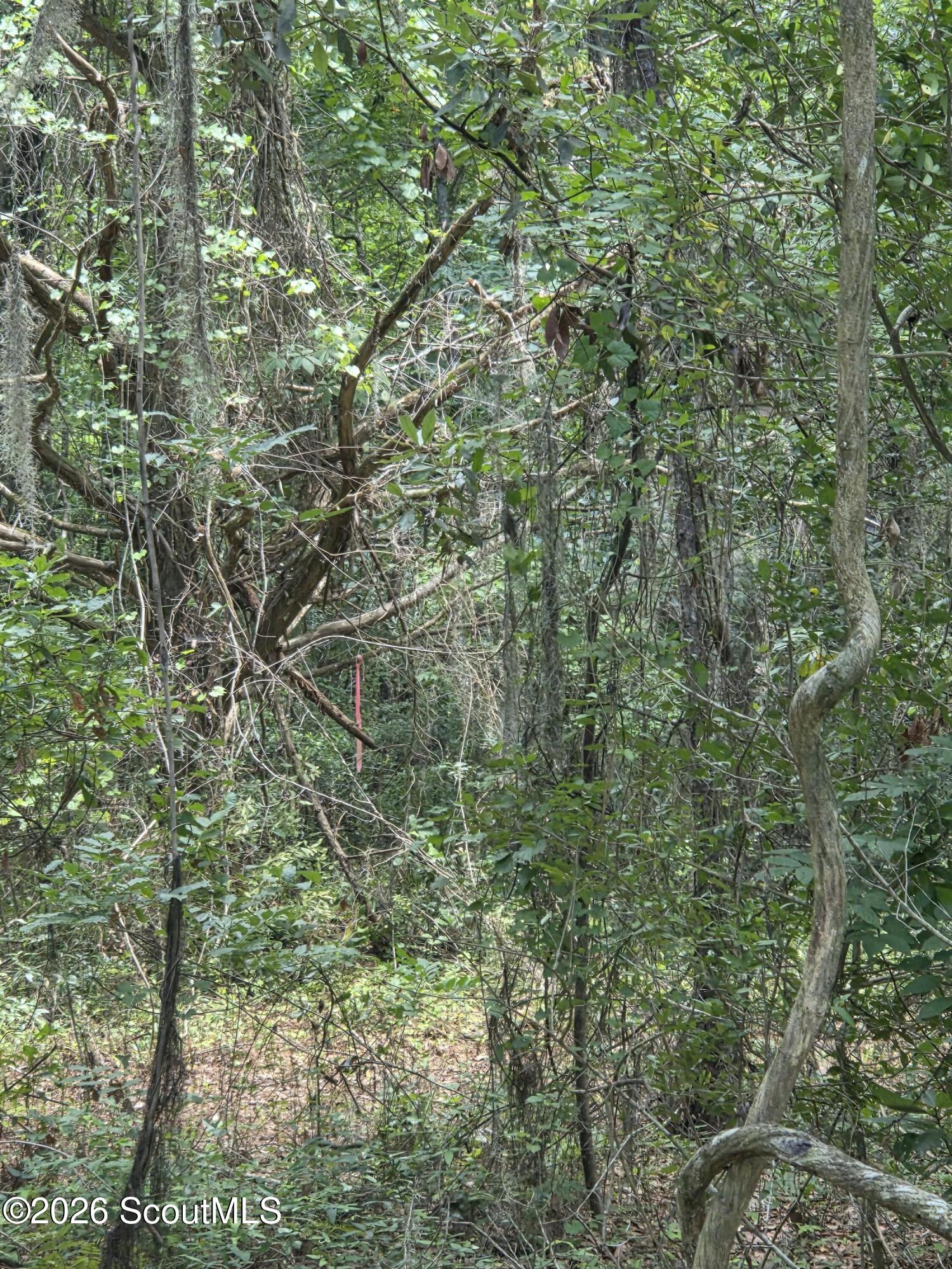 2.83-ac Young Man Road Northeast Townsend, GA 31331 - Photo 6 of 7 20260623_141710