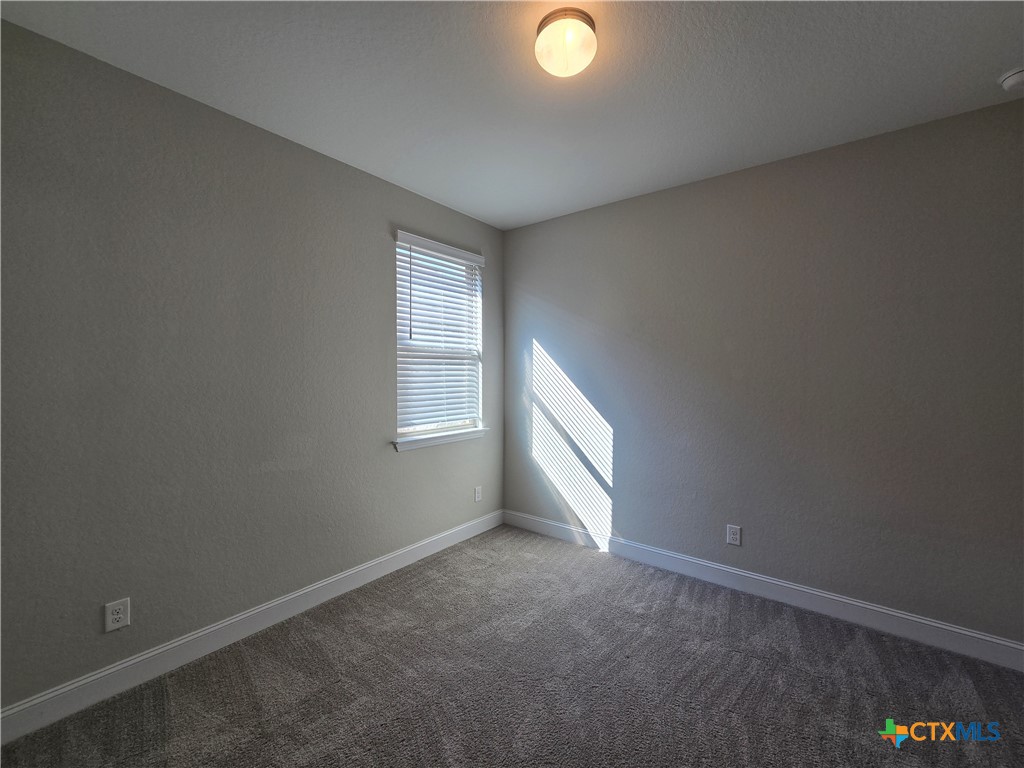 1324 Spring Row Street New Braunfels, TX 78132 - Photo 22 of 28