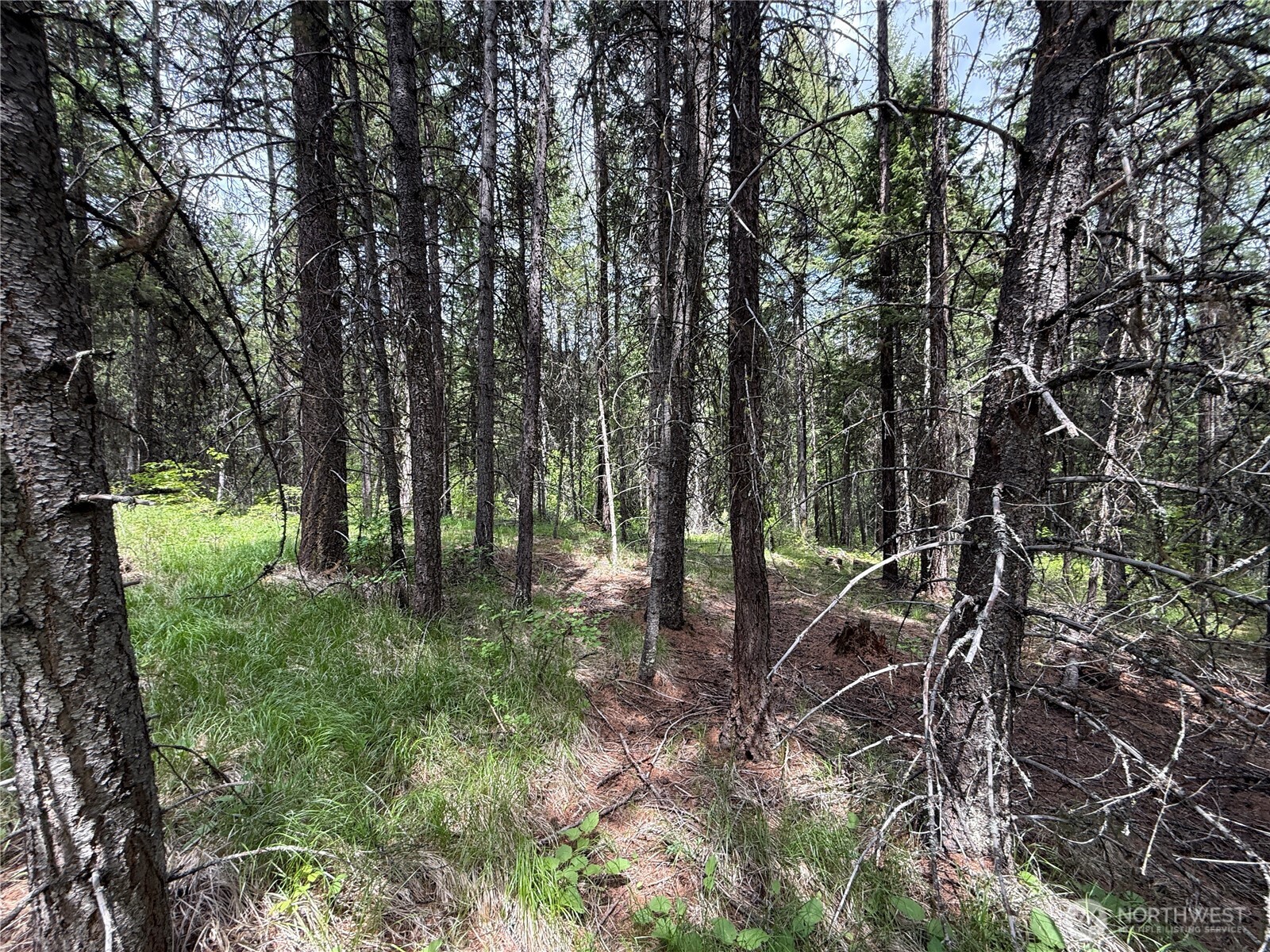 0 Knob Hl Road East Republic, WA 99166 - Photo 23 of 31 a view of outdoor space and trees