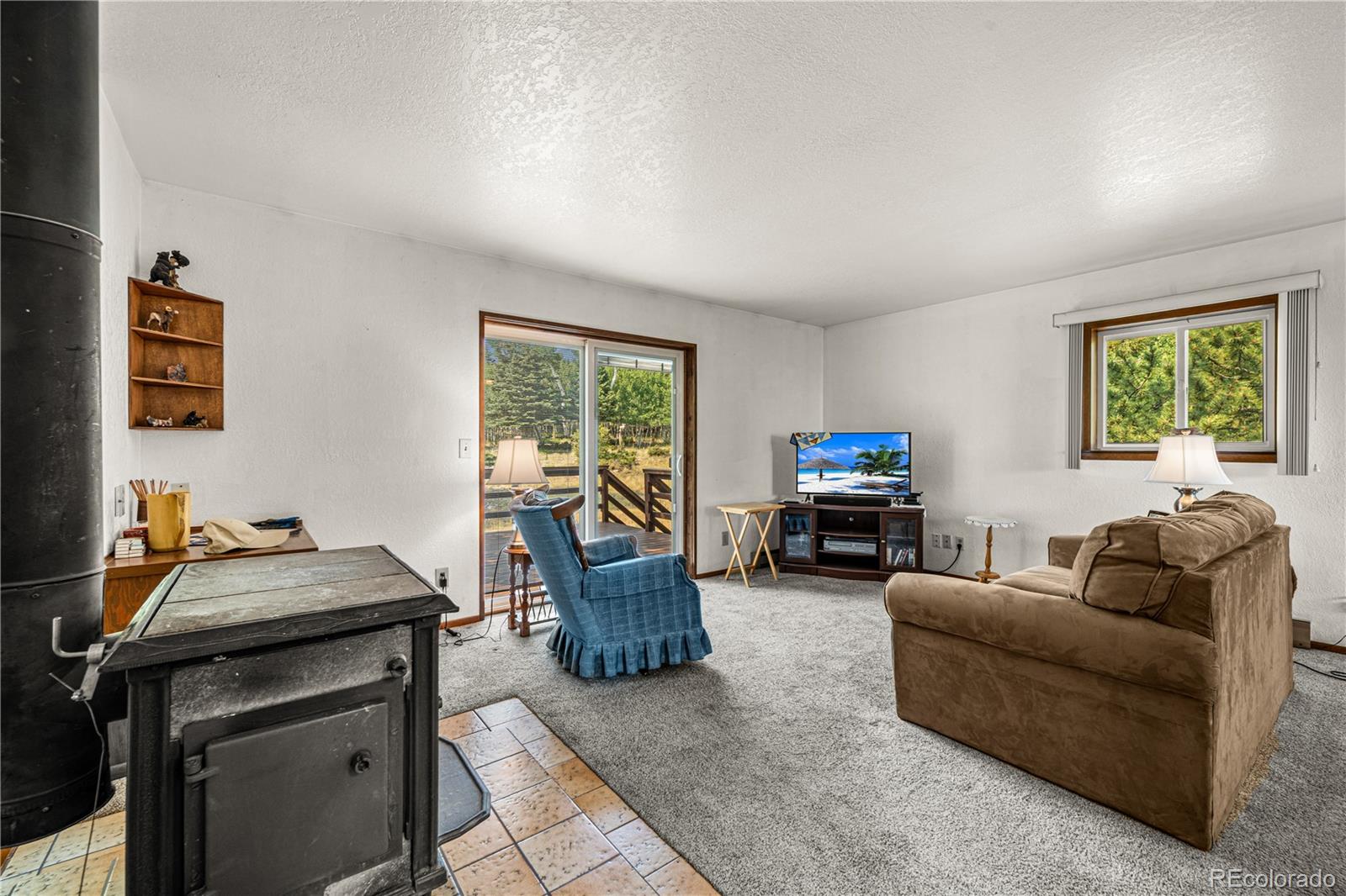 206 Little Horn Road Westcliffe, CO 81252 - Photo 6 of 35