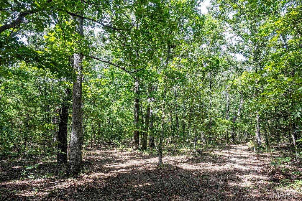 0 Fire Tower Road Steelville, MO 65565 - Photo 10 of 28 Gallery Image 10