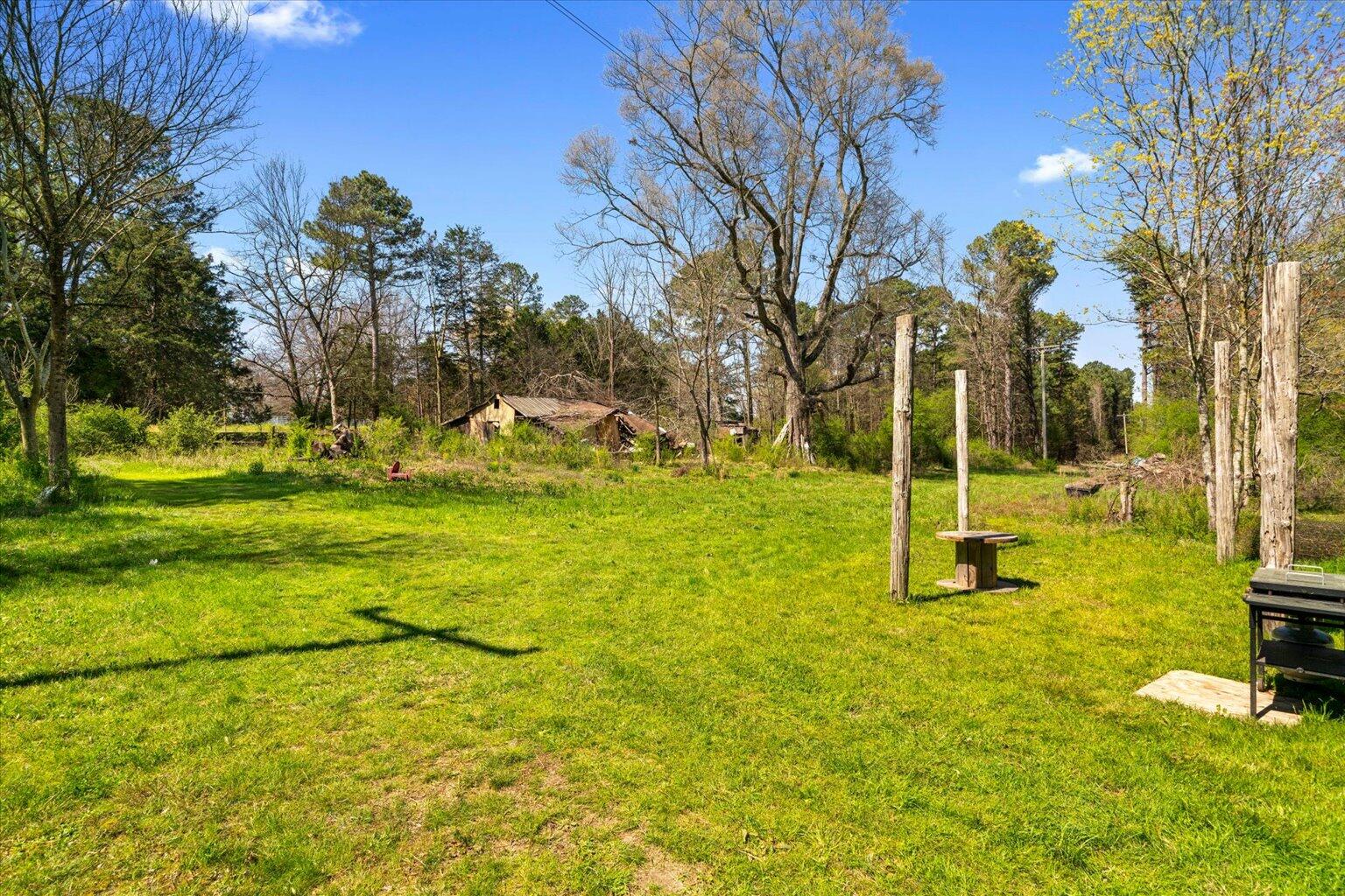 189 White Road Rocky Face, GA 30740 - Photo 11 of 24 11-DSC00904