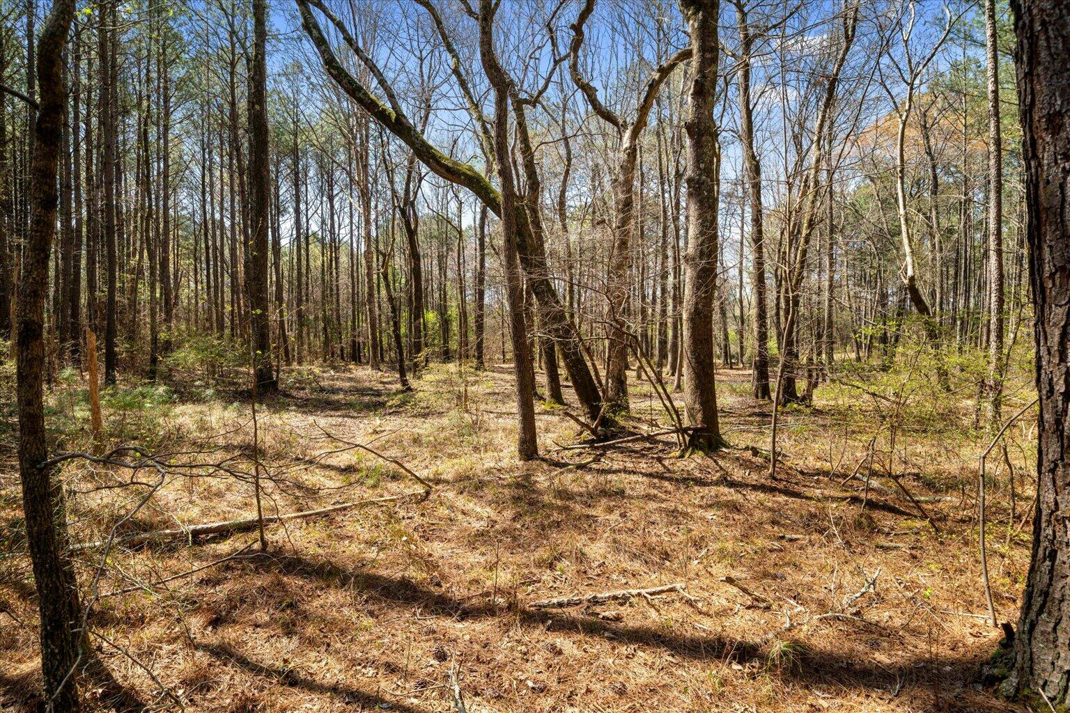 189 White Road Rocky Face, GA 30740 - Photo 12 of 24 12-DSC00879