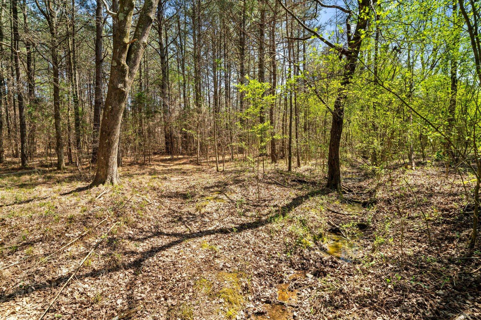 189 White Road Rocky Face, GA 30740 - Photo 13 of 24 13-DSC00864