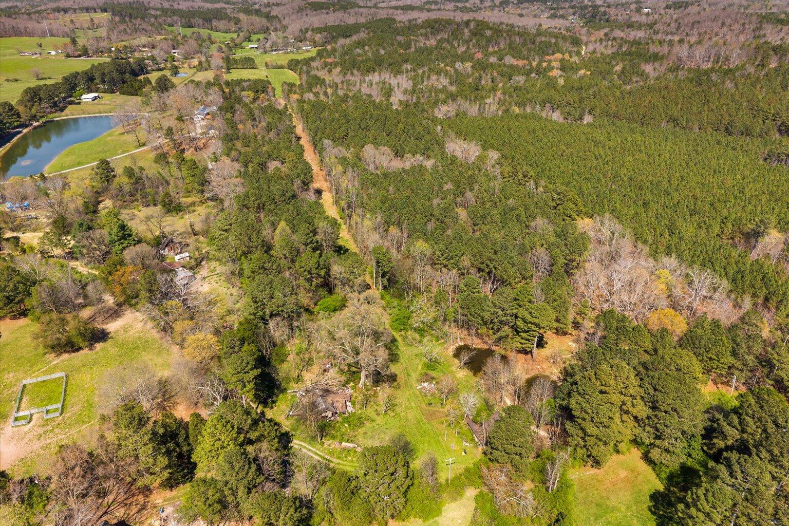 189 White Road Rocky Face, GA 30740 - Photo 14 of 24 14-DJI_20260324145100_0920_D