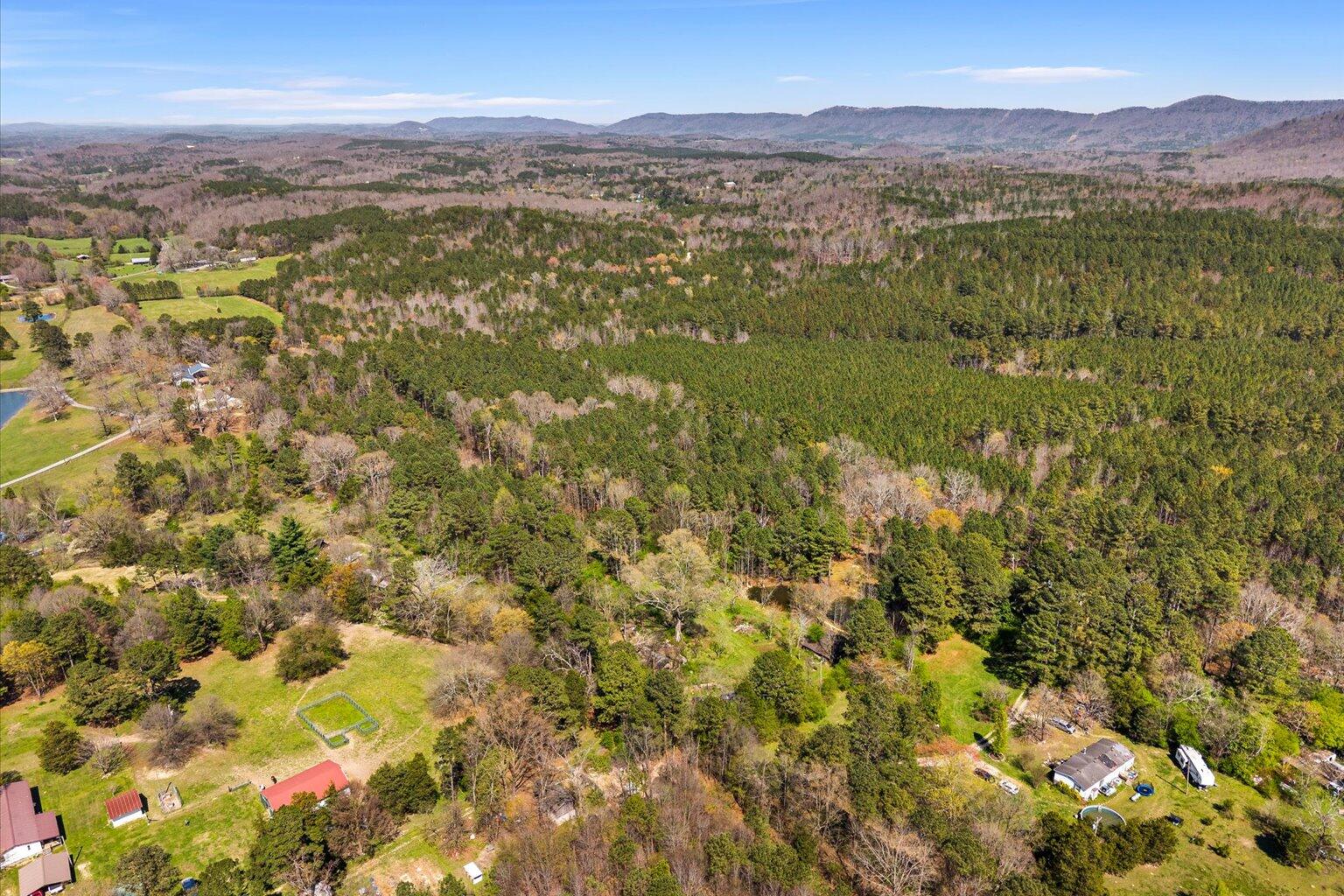 189 White Road Rocky Face, GA 30740 - Photo 17 of 24 17-DJI_20260324144703_0890_D