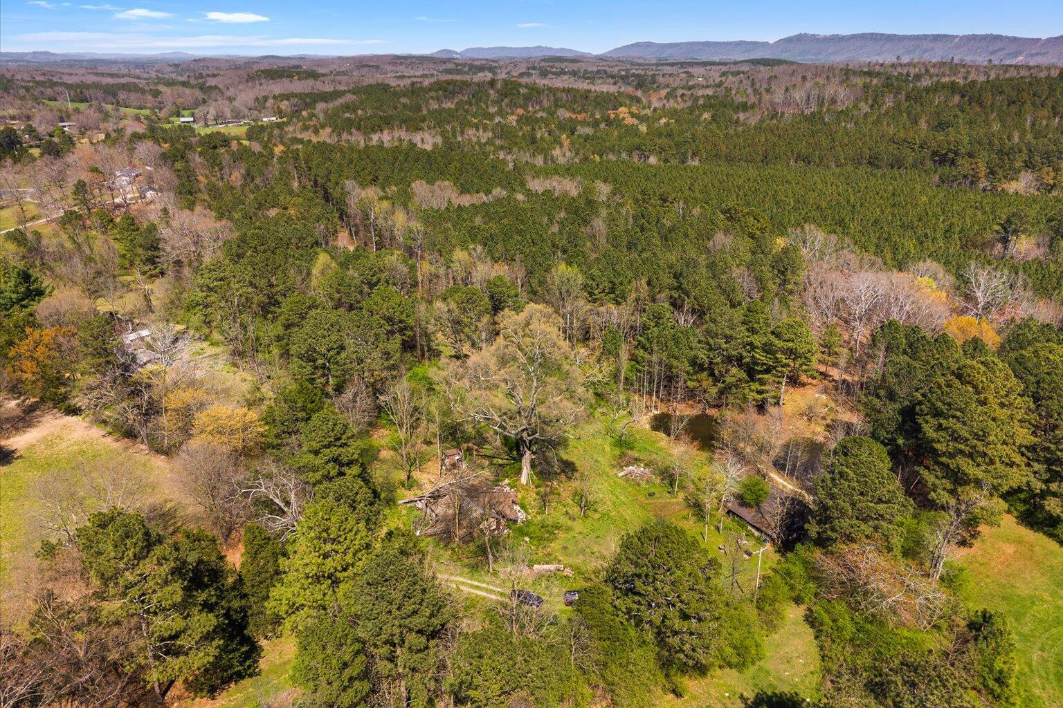 189 White Road Rocky Face, GA 30740 - Photo 18 of 24 18-DJI_20260324144726_0895_D