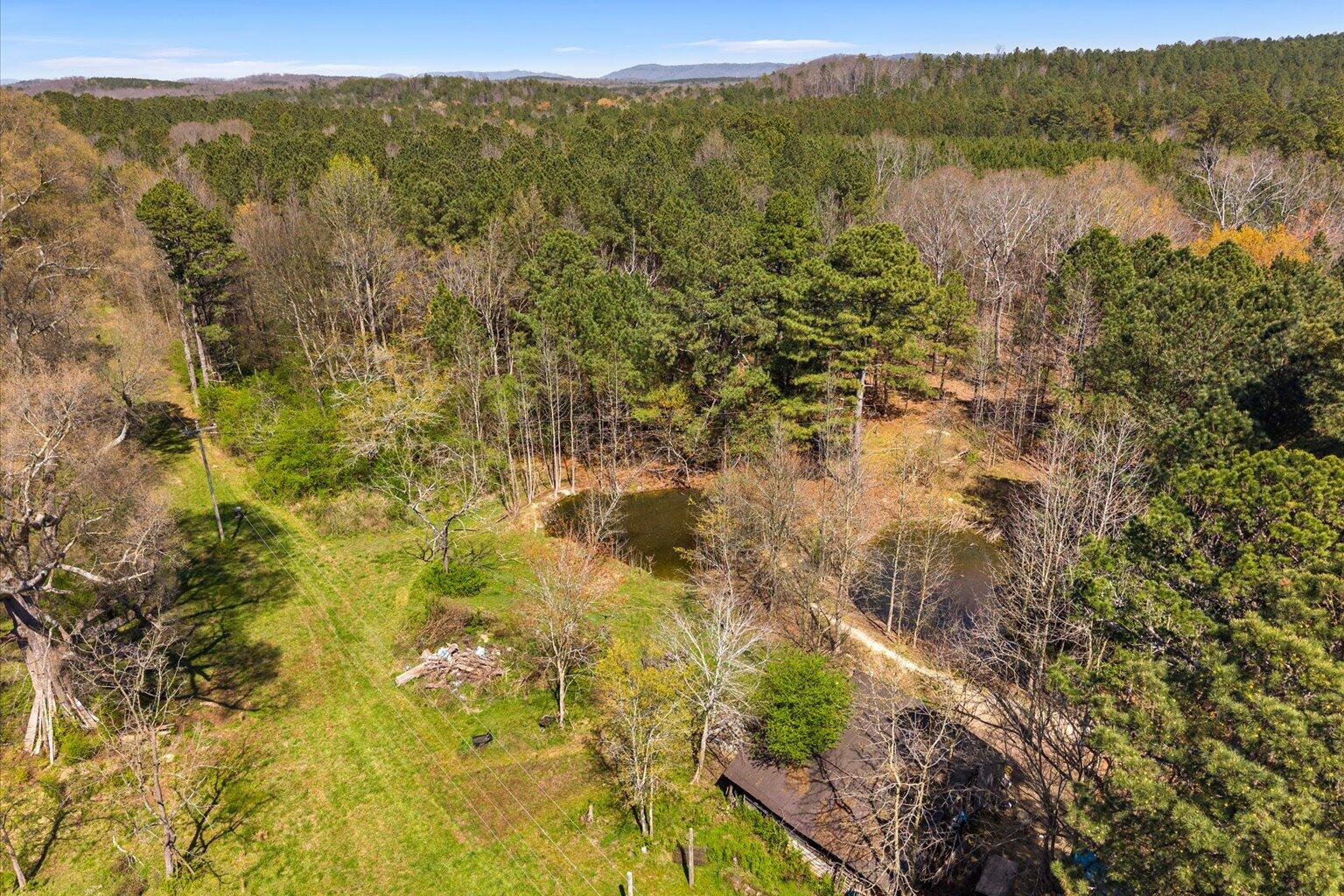 189 White Road Rocky Face, GA 30740 - Photo 20 of 24 20-DJI_20260324144839_0905_D