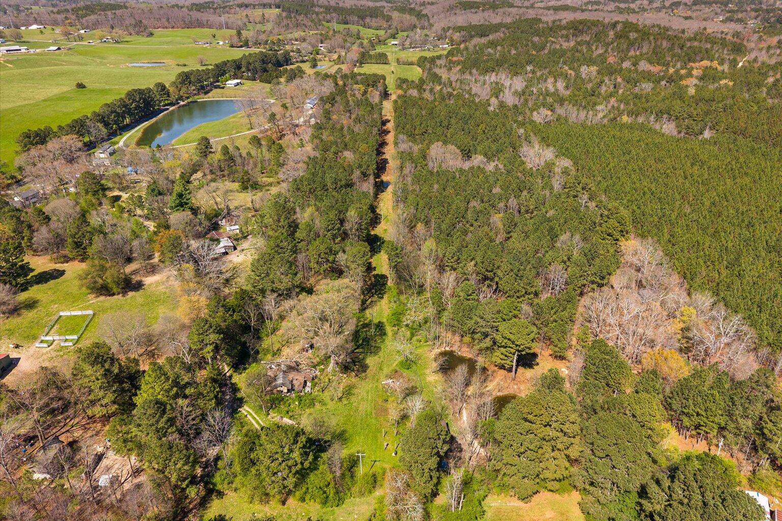 189 White Road Rocky Face, GA 30740 - Photo 21 of 24 21-DJI_20260324144919_0910_D