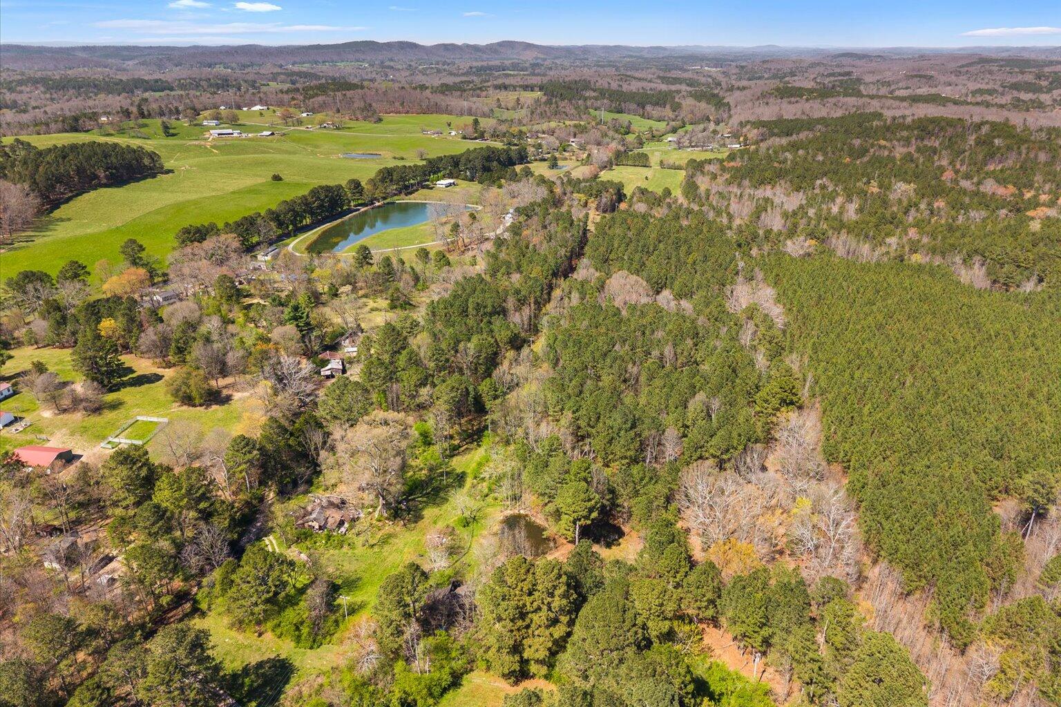 189 White Road Rocky Face, GA 30740 - Photo 22 of 24 22-DJI_20260324145124_0925_D